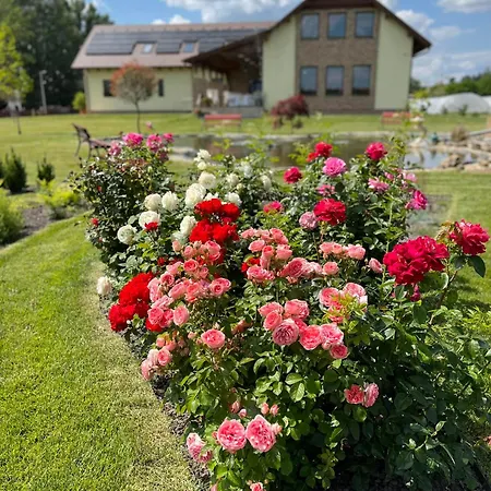 Guest house Aurora Rendezvenyterem & Szallas Jaszapati