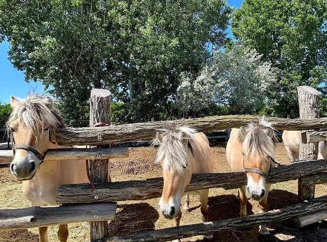 Aurora Rendezvenyterem & Szallas Gæstehus 4*